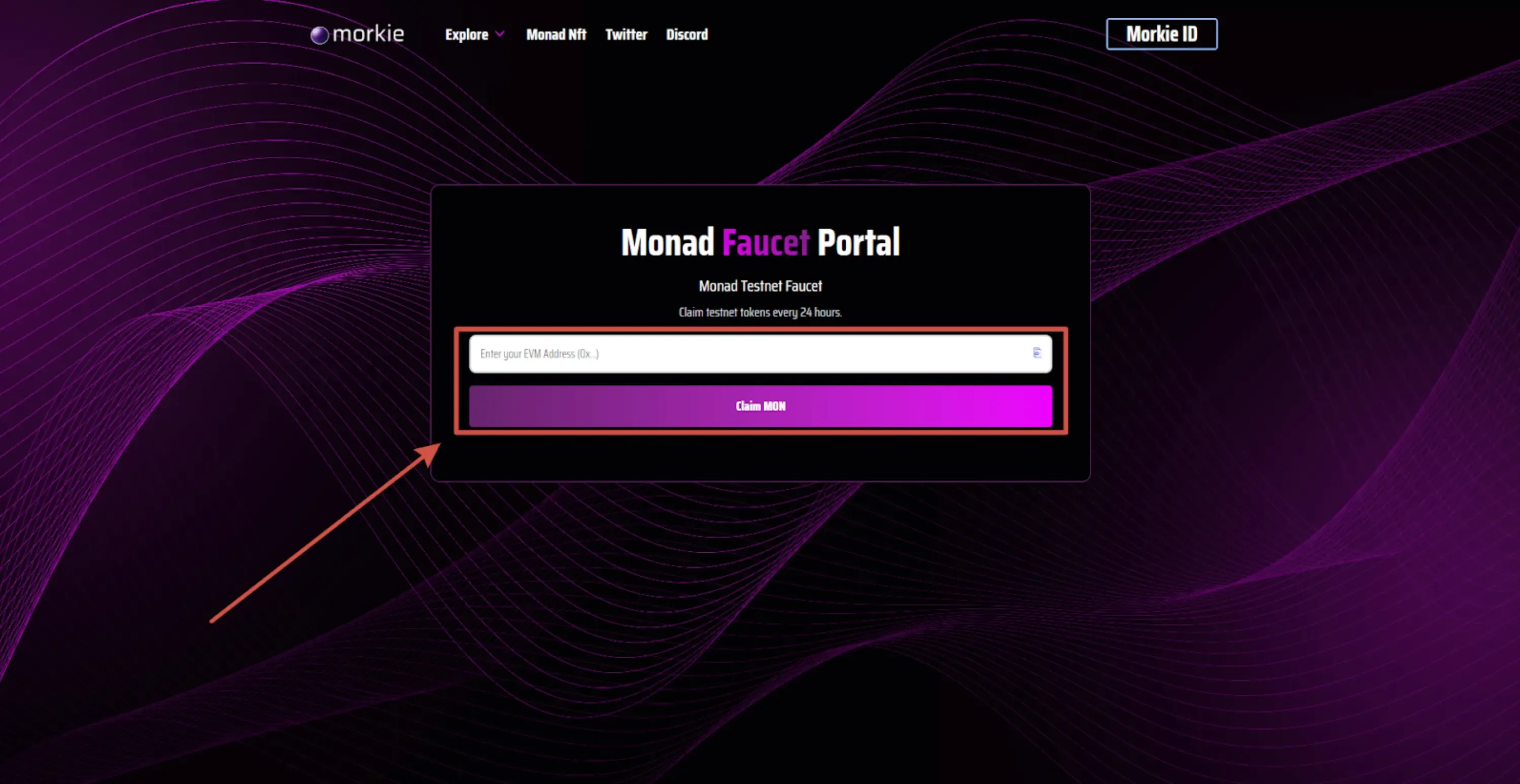 morkie-faucet-5.webp